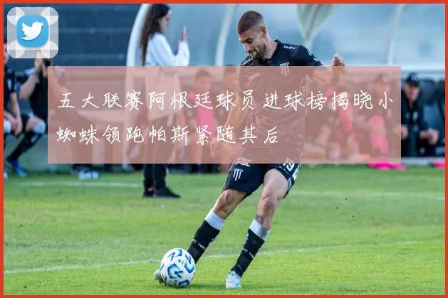 五大联赛阿根廷球员进球榜揭晓小蜘蛛领跑帕斯紧随其后